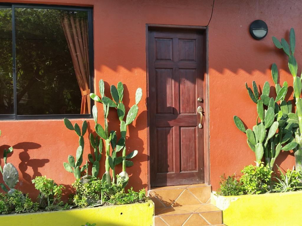 Hotel Cabinas Mar Y Cielo モンテスマ 部屋 写真