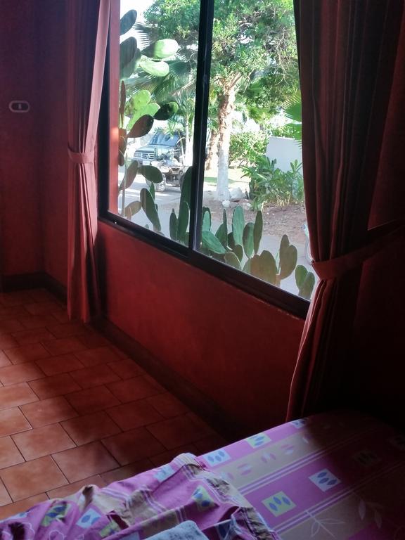 Hotel Cabinas Mar Y Cielo モンテスマ 部屋 写真