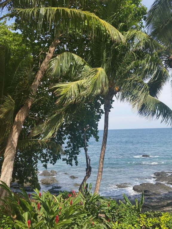 Hotel Cabinas Mar Y Cielo モンテスマ エクステリア 写真